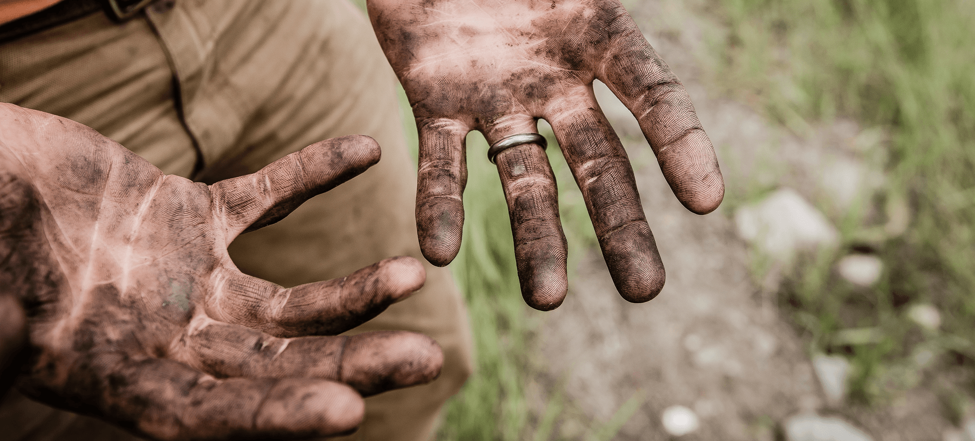 garden maintenance