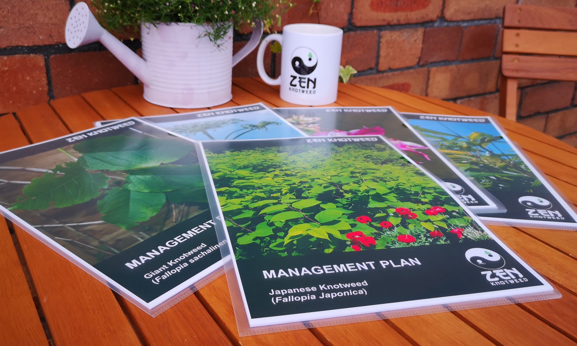 Japanese Knotweed Management Plans